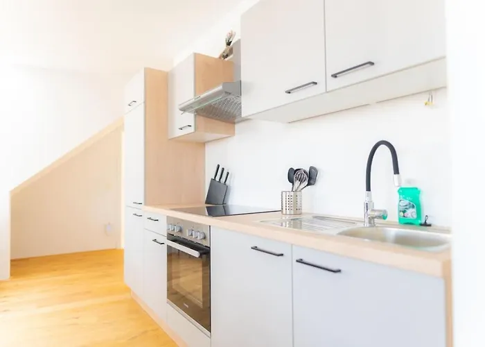 Apartment Superior Penthouse Two-floor With Private Terrace Near Prater And Center *